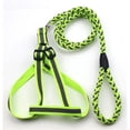 thumbnail image 1 of Reflective Stitched Easy Tension Adjustable 2-in-1 Dog Leash and Harness, Green - Small, 1 of 1