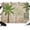 Green, Brown, variant on 7x5ft Photo Backdrop, Vintage Palm Trees Soft Polyester Backdrop Curtains Photography Backdrops, Summer Botanical Retro Tropical Brushed Background for Photoshoots Studio Video Portrait Parties