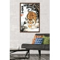 thumbnail image 2 of Alexander The Fat Tiger - Prowling Wall Poster, 22.375" x 34" Framed, 2 of 6
