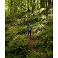 thumbnail image 3 of Showers Pass Women's Element Jacket, 3 of 11