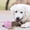 Pink, variant on Dog Toy for Dogs Food Puzzle Mentally Stimulating Puppy Chew Brain Teething Training Playing Indoor Outdoor Pink 8cm