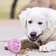 thumbnail image 3 of Juguete para perros con rompecabezas de comida Estimulante mental para cachorros Masticable para estimular el cerebro Entrenamiento para la dentición Juego para interior y exterior, 3 of 4