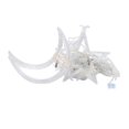 thumbnail image 1 of Cortina de luces LED decorativas para ventana de Ramadán, Eid, fiestas navideñas, 8 modos, para patio, jardín y hogar. Blanco cálido, 1 of 9