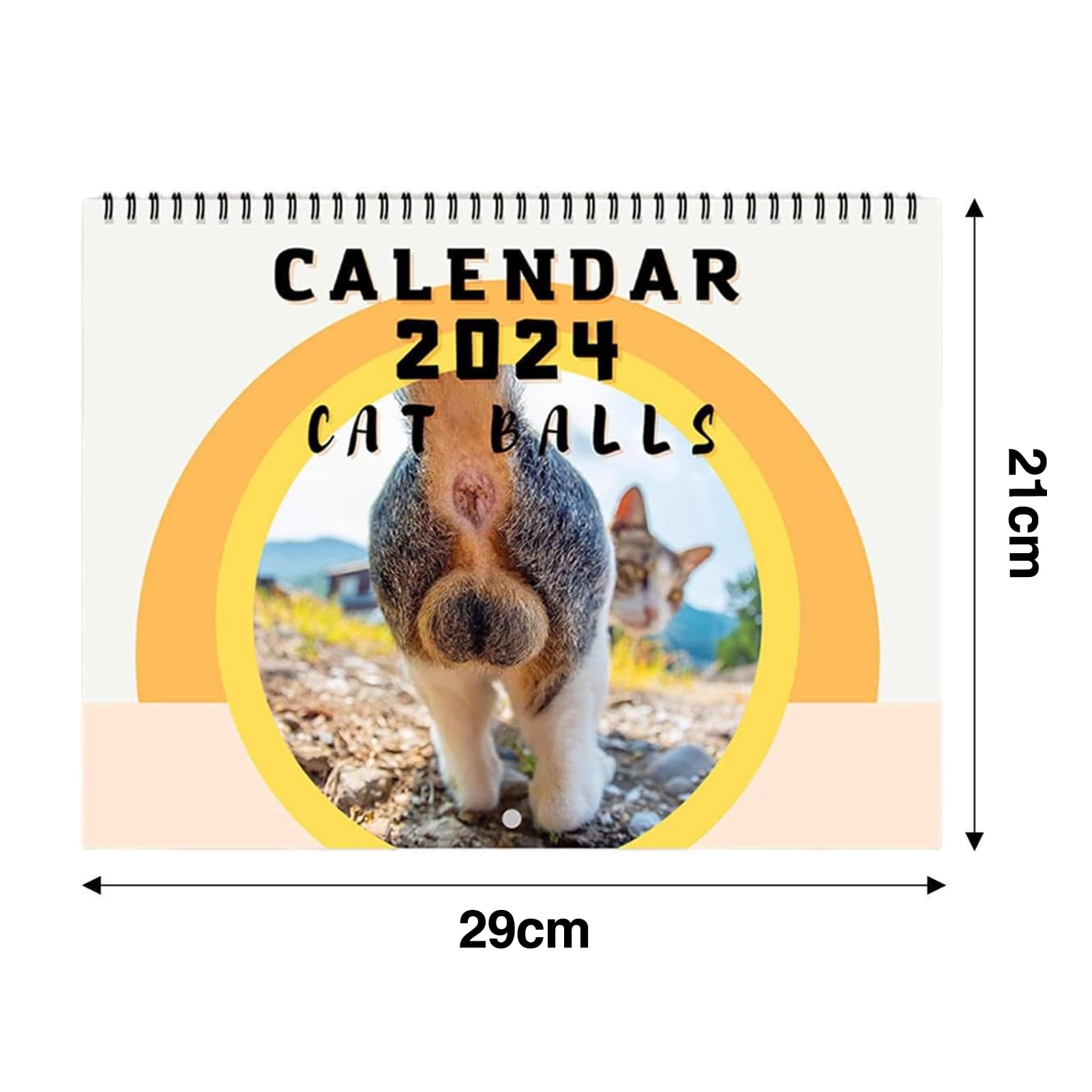 Bluelans 2024 Cats Buttholes Calendar Adorable Cat Figures with Empty Space  Planner Making Creative Monthly Cat Calendar - Walmart.com