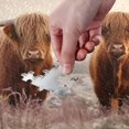 thumbnail image 4 of FREEAMG Highland Cattle Puzzle 1000 Pieces - Wooden Jigsaw Puzzles for Family Games - Suitable for Teenagers and Adults, 29.5"x19.7", 4 of 7