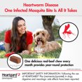 thumbnail image 5 of Heartgard Plus Chew for Dogs, 26-50 lbs, (Green Box), 5 of 19