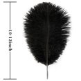 thumbnail image 4 of Plumas de Avestruz Soarer 15 piezas 25-30 cm Plumas Negras, 4 of 7