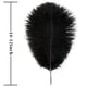 thumbnail image 4 of Plumas de Avestruz Soarer 15 piezas 25-30 cm Plumas Negras, 4 of 7