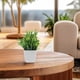 thumbnail image 4 of FESTFENDS 3Ud Plantas Artificiales Pequeñas Con Maceta Para Decorar Interiores Estilo Rústico Y Oficina, 4 of 6