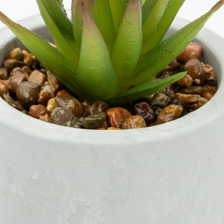 Mainstays 3-Piece Succulent Set in Gray Cement Planters - Walmart.com