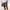 Dark Gray, variant on Leesechin Big and Tall Shorts Clearance Mens Shorts Solid Pocket Elastic Waist Straight Half Shorts Pants Sport Pants