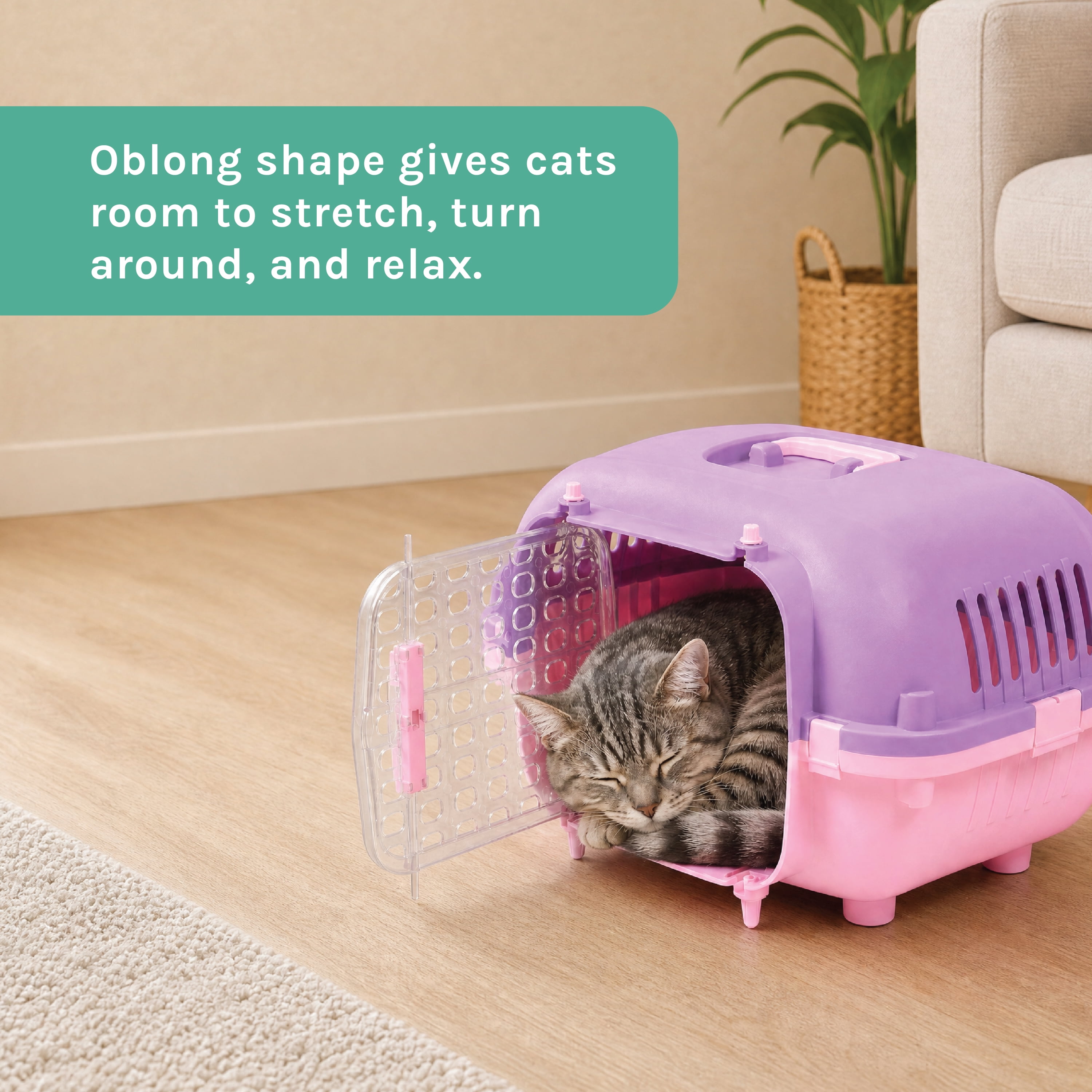 Kitty City 21" Oblong Durable Hard Sided Plastic Pet Kennel with Top Handle, Purple, 20 lb Limit