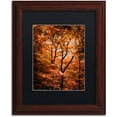 thumbnail image 1 of Trademark Fine Art "Autumn Whispers" Canvas Art by Philippe Sainte-Laudy Black Matte, Wood Frame, 1 of 4