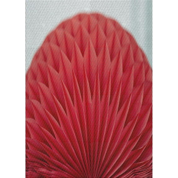 Ahgly Company Indoor Rectangle Patterned Red Novelty Area Rugs, 7' x 9'