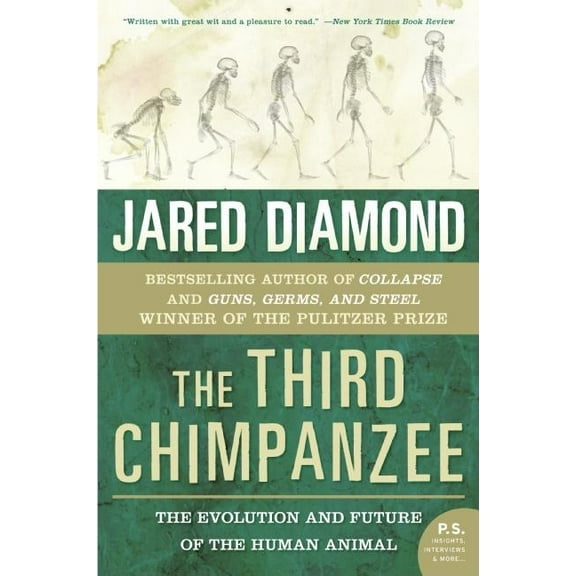 The Third Chimpanzee: The Evolution and Future of the Human Animal, (Paperback)