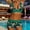 Swimwear-786Multicolor, variant on Bikini Sets for Women Halter V Neck Top Side Tie Ruched Boyshort Bottom Two Piece Bathing Suits Tropical Palm Tree Print Modest Summer Vacation