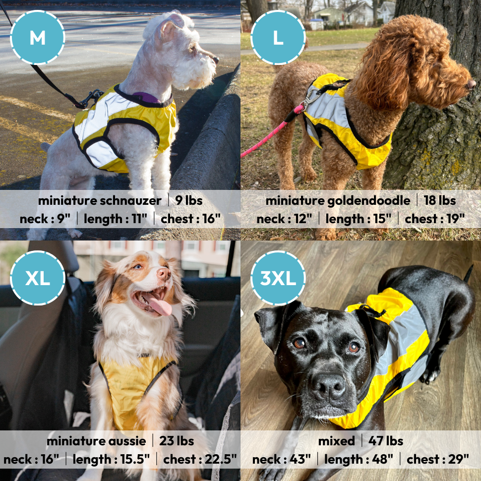 Hundeweste 'I Have Allergies Do Not Feed' – Warnweste Für Allergische Hunde, Verstellbar, Größe M (11-18 Kg), Slogan-Druck