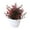 Red, variant on Clearance under $5! Fake Artificial Greenery Kingtowag Fake Plants, Artificial Potted Small for Shelf Green in White Plastic Pot for Home Bathroom Decor Faux, Centerpiece Decor