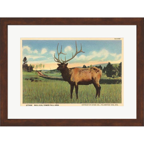 Great Art Now Elk I Crop by Wild Apple Portfolio, Framed Wall Art, 24.75W x 18.75H, Animals Art