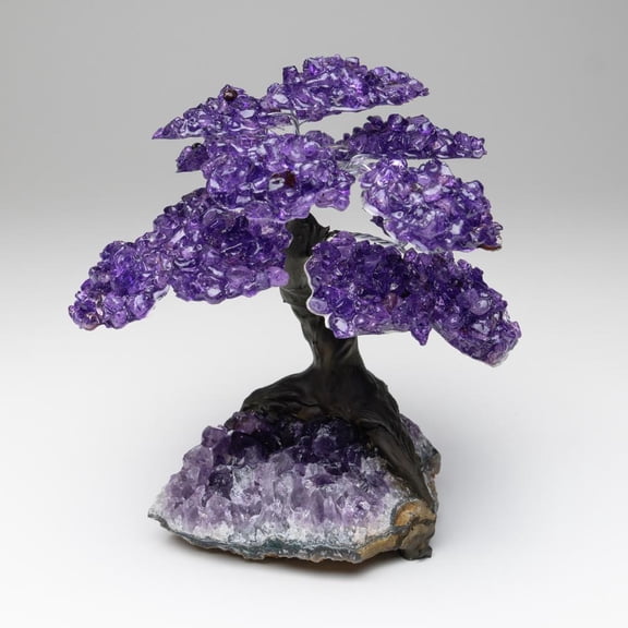 Large - Amethyst Clustered Gemstone Tree on Amethyst Matrix (The Protection Tree)
