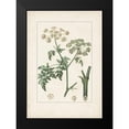 thumbnail image 2 of Turpin 11x14 Black Modern Framed Museum Art Print Titled - Antique Turpin Botanical IX, 2 of 5