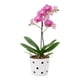 thumbnail image 1 of Maceta De Cerámica Esmaltada Para Orquídea Blanca, 1 of 5