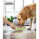 thumbnail image 4 of Juguetes de adiestramiento canino, dispositivo de terapia interactiva, comedero lento para perros, mejora del coeficiente intelectual canino, juego de adiestramiento canino (verde), 4 of 5