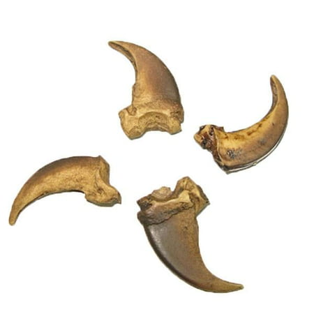 - Replica Wolf Claw