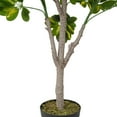 thumbnail image 3 of Northlight 4.25' Unlit Artificial Potted Two Tone Scheffera Plant Tree, 3 of 4