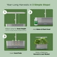 thumbnail image 4 of AeroGarden Harvest Elite Slim - Stainless Steel, 4 of 9