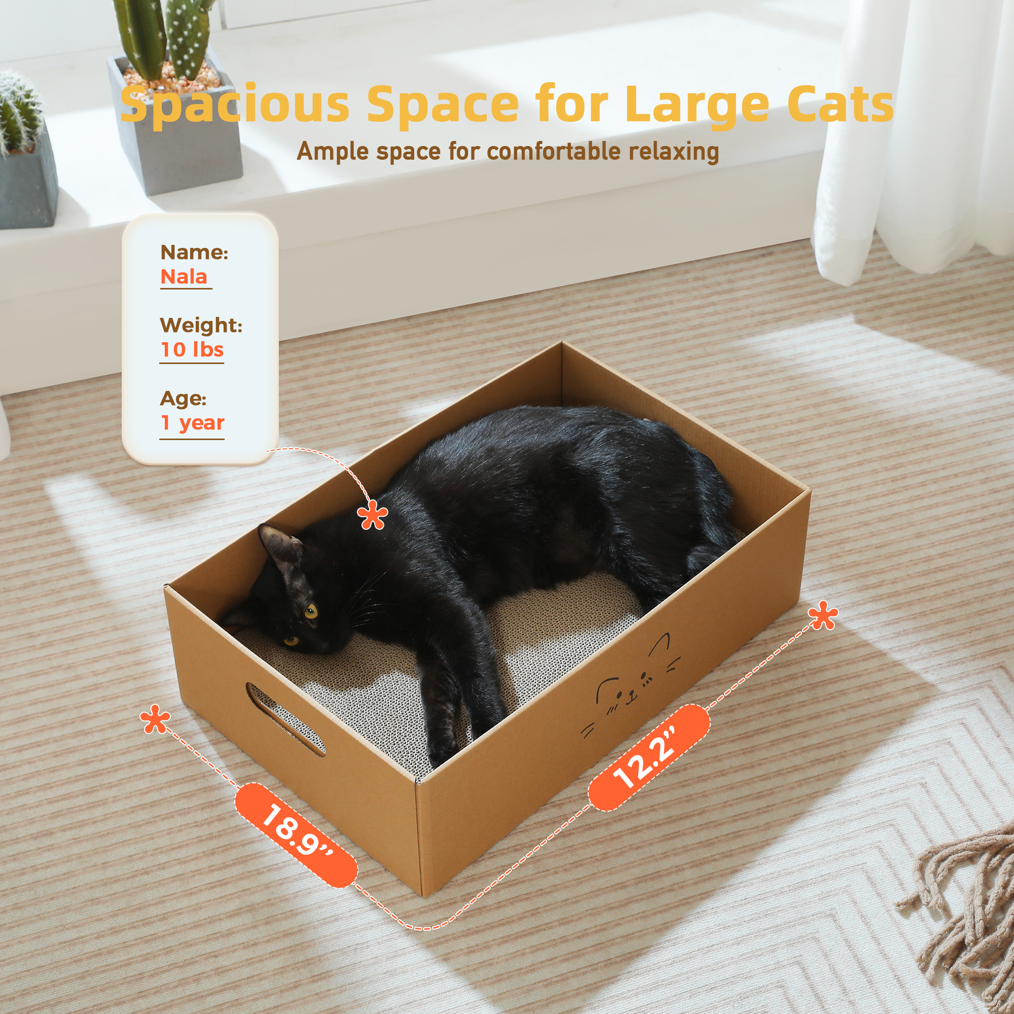 Pawz Road 3-in-1 Cat Scratcher Cardboard Lounger photo 7