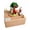 Skateboard Bunny / XL-0013, variant on Hand-Crank Wooden Music Box, Beech Wood 3D Mechanical Melody Box with Animated Miniature Scene, Wooden Puzzle Desktop Decor and Creative Gift- Forest Train / XL-0060