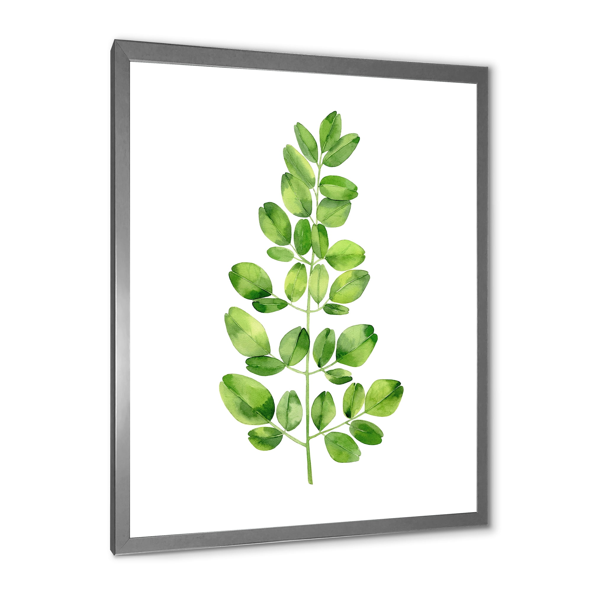 Moringa Plant Branch Tropical Tree Foliage 24 in x 32 in Framed Painting Canvas Art Print, by Designart