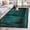 Green, variant on 3'x5' Area Rugs, Teal Board Indoor Outdoor Area Rug for Living Room Bedroom, Vintage Chic Wooden Grain Washable Bathroom Rugs Kitchen Floor Carpet Mats Home Decor Aesthetic