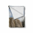 thumbnail image 2 of Yellowstone Soft Flannel Fleece Throw Blanket, Big Rock in Orange Spring Mound Yellowstone Forest Cloudy Sky Scenery Nature, Cozy Plush for Indoor and Outdoor Use, 60" x 80", Beige Blue, by Ambesonne, 2 of 6