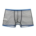 thumbnail image 2 of EFINNY Men's Sexy Mesh Sheer Bulge Pouch Trunks Boxer Briefs, 2 of 4