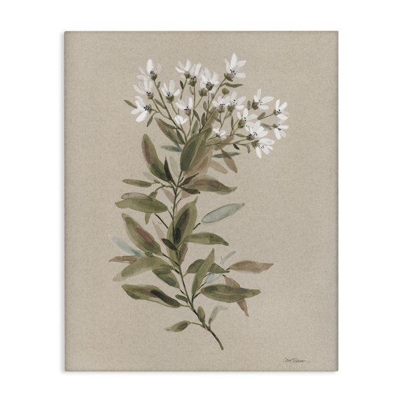 Stupell Industries Farmhouse Watercolor Wildflower Sprig Canvas Art, 16 x 20, by Carol Robinson