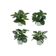 thumbnail image 1 of 4 Macetas Xtellar Plantas Artificiales Macetas Decorativas Bonsai blanco, 1 of 4