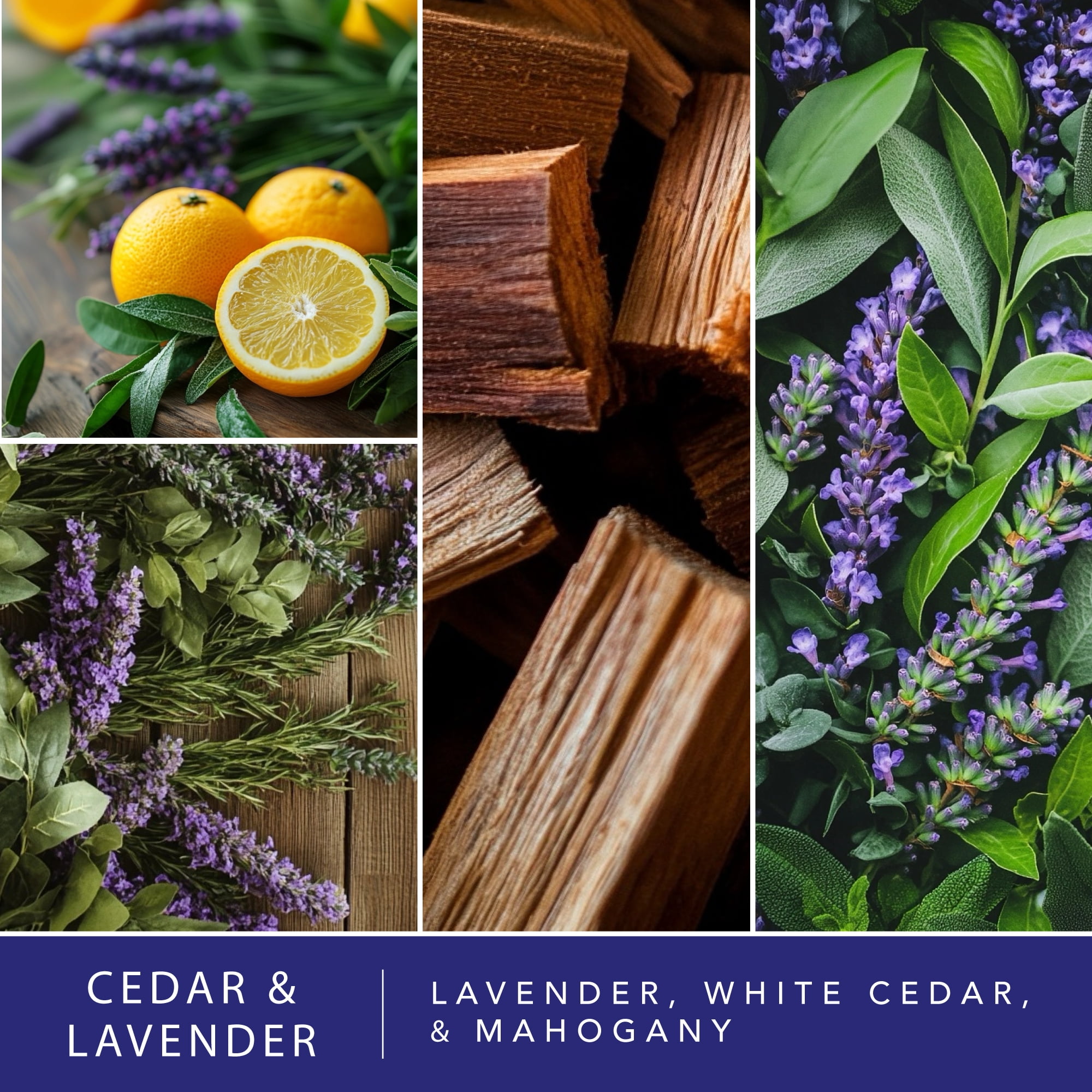 (2 pack) Cedar & Lavender Scented Wax Melts, ScentSationals, 2.5 oz