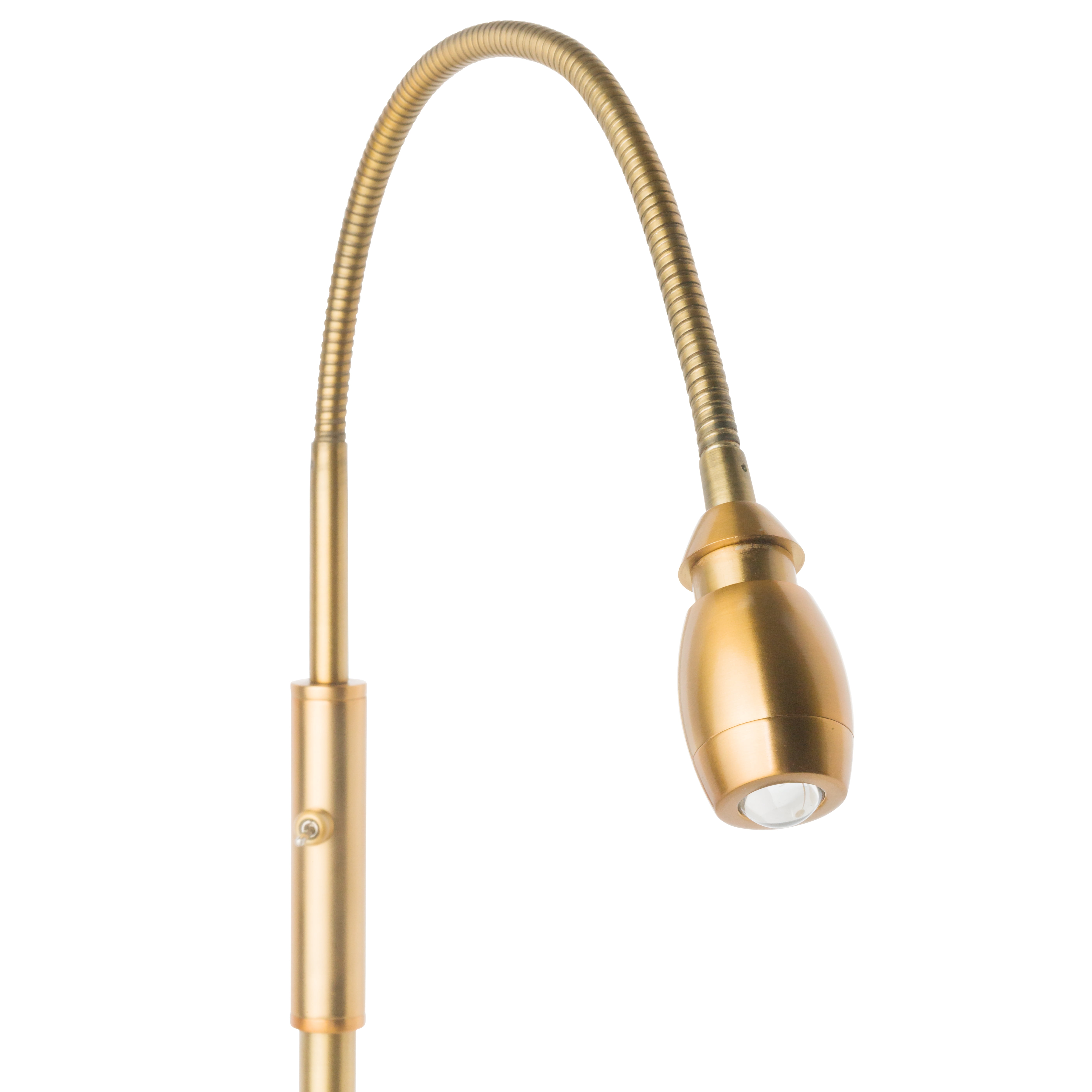 daylight24 Adjustable Beam High Output LED Floor Lamp, Gold
