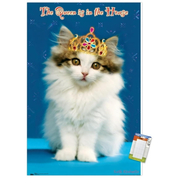 Keith Kimberlin - Kitten - Queen Wall Poster, 22.375" x 34"