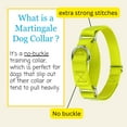 thumbnail image 4 of Country Brook Petz® Martingale Dog Collar - Training Collar with No Buckle (Hot Yellow, Small), 4 of 6