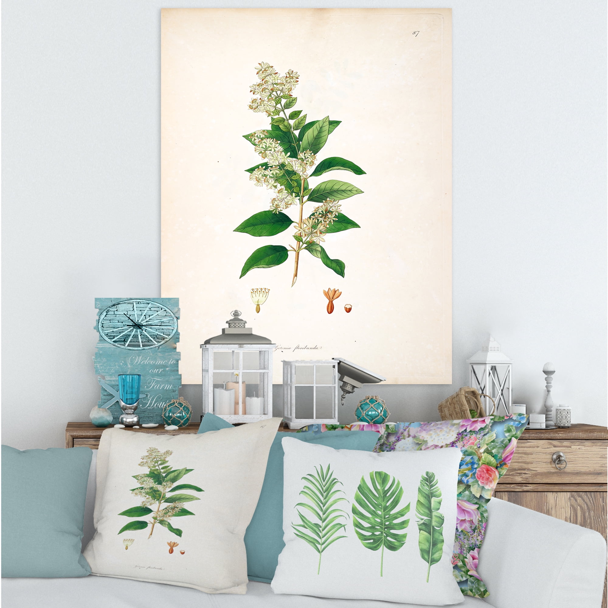 Designart ' Ancient Botanicals XVII ' Farmhouse Canvas Wall Art Print