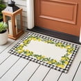 thumbnail image 4 of 2x3 Ft Entryway Area Rug, Summer Lemons Kitchen Rug Runner Washable Floor Mat, Farmhouse Fruits Black Buffalo Plaid Non Slip Indoor Door Mat Throw Carpet for Bathroom Living Room Bedroom, 4 of 8