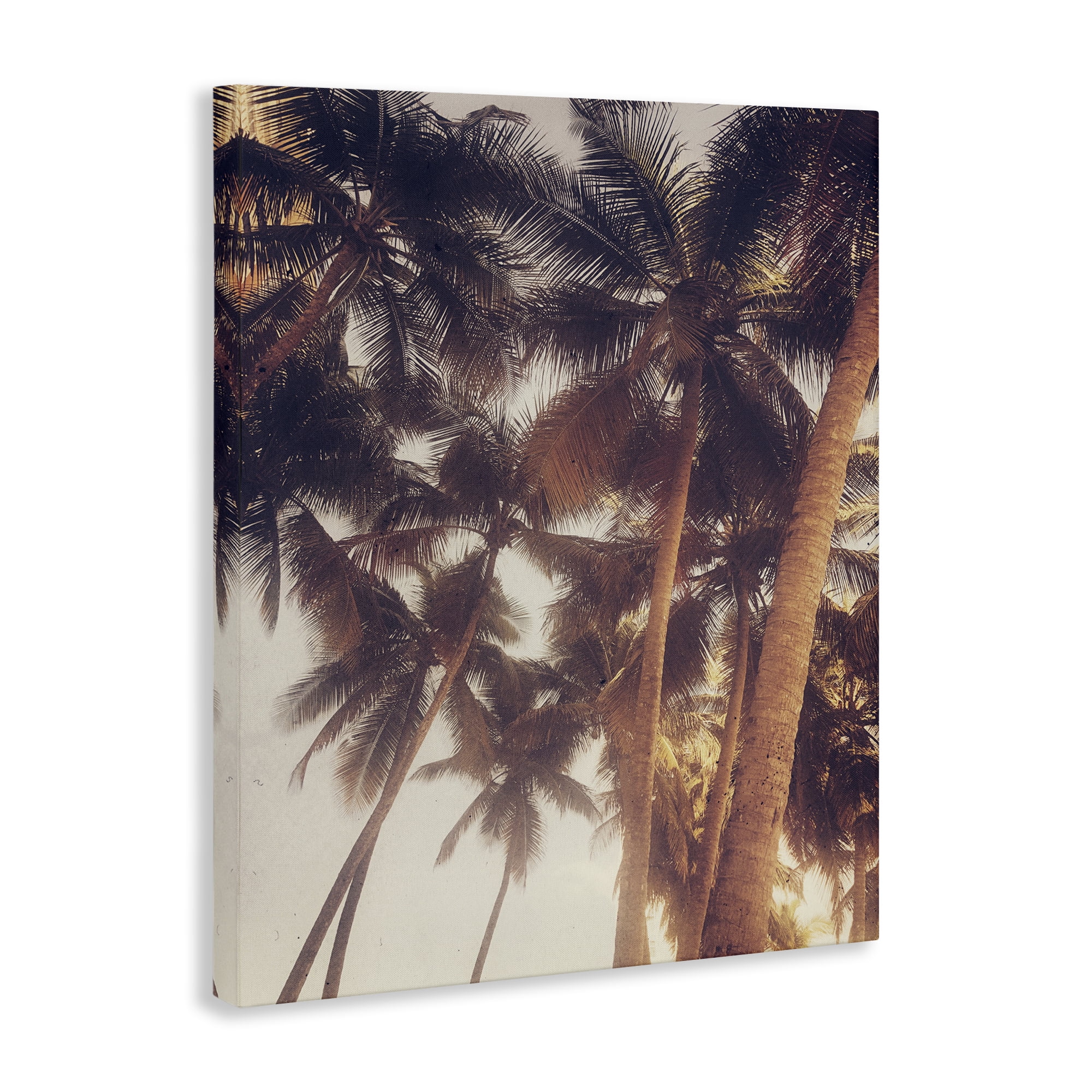 Stupell Industries Sunlit Palm Tree Plants & Flowers Photography Wrapped Canvas Art Print Wall Art, 30 x 40