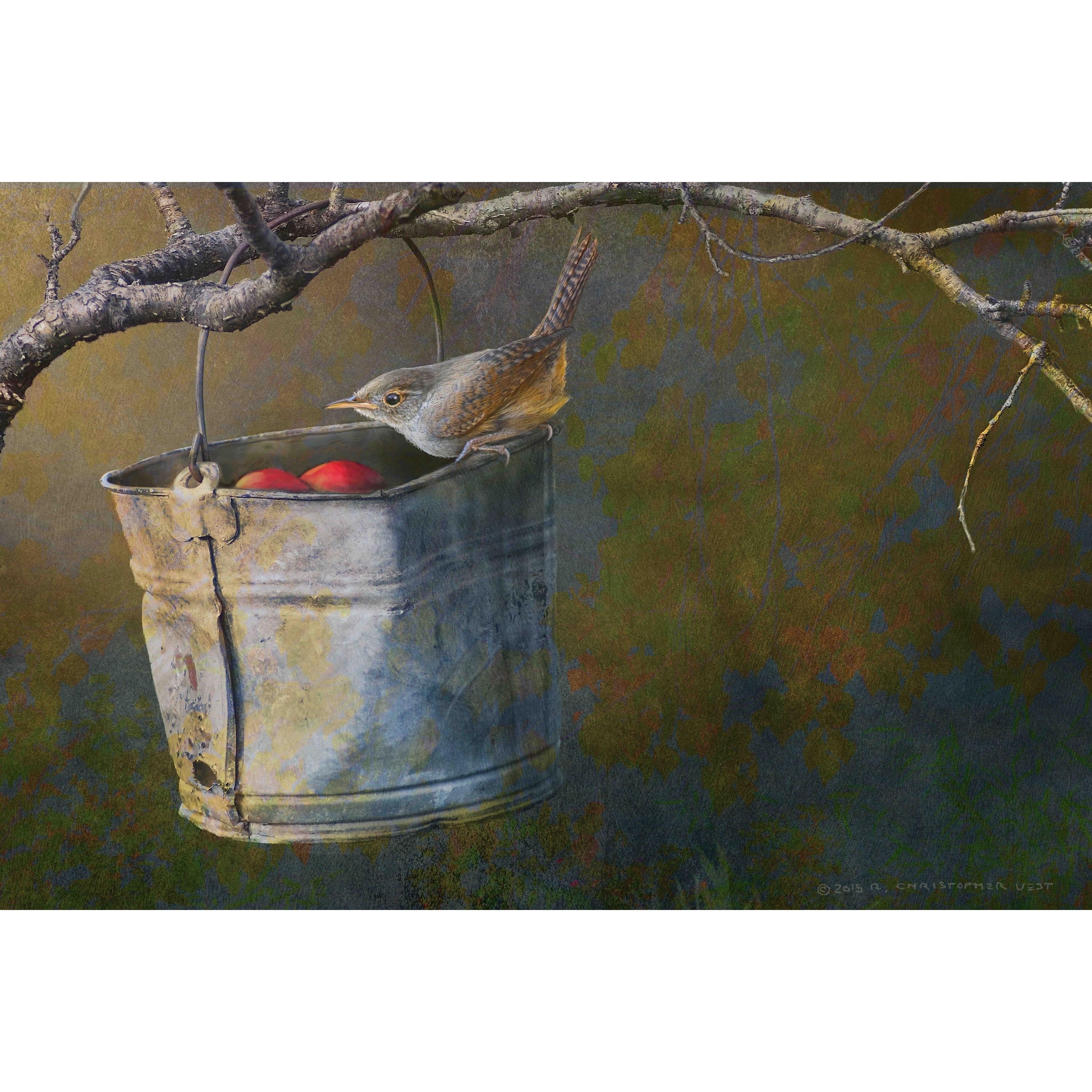 "Apple Bucket Wren" Painting Print on Wrapped Canvas