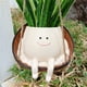 thumbnail image 3 of Macetas Suculentas Plantas Bonitas Maceta Con Cara Creativa para El Jardín Y, 3 of 9