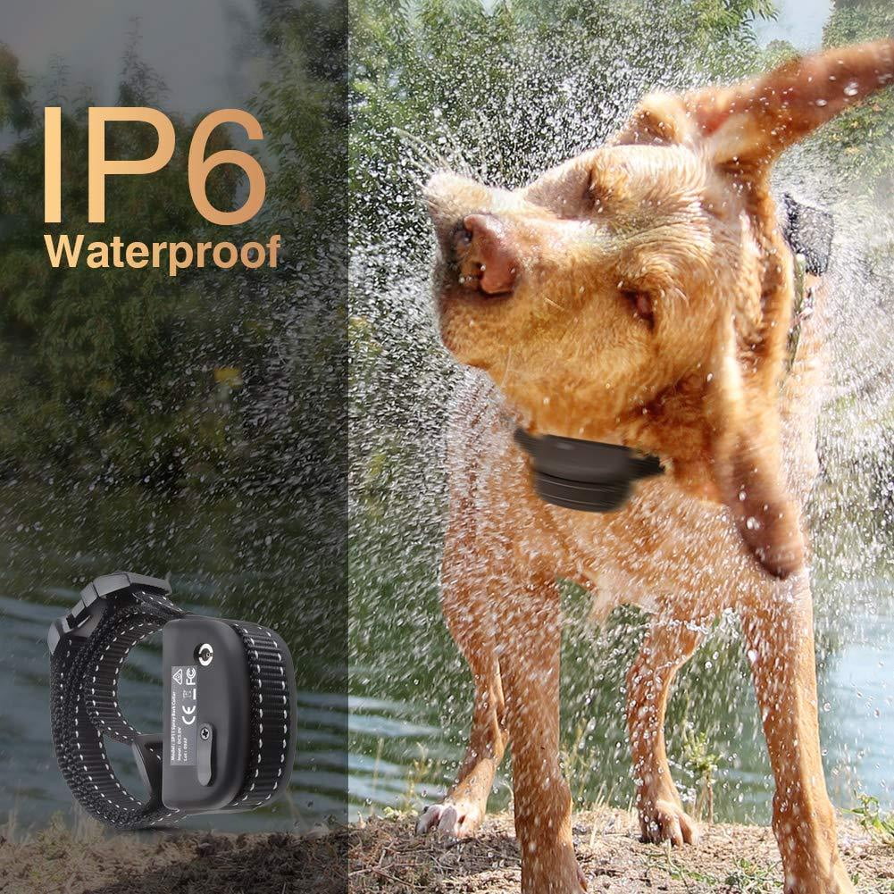 best bark collar canada