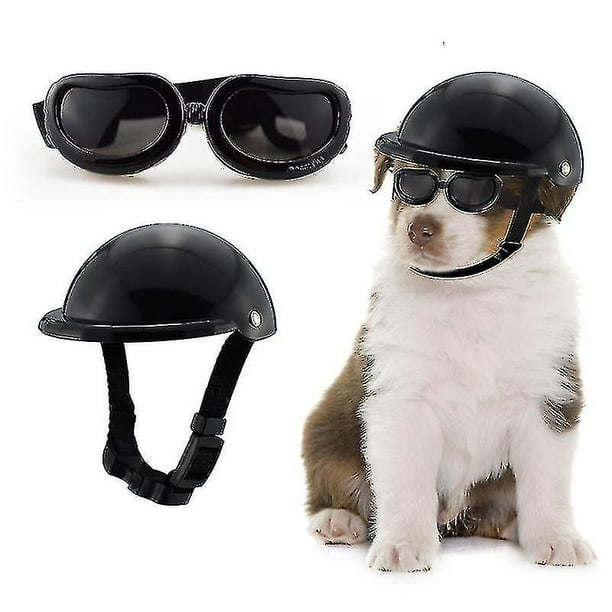 Dog with helmet on motorcycle hotsell