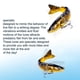thumbnail image 4 of onlyliua ¡ Liquidación de Ofertas de Hoy! Cebo Fascia En El Mar, Hundimiento, 12,8 Cm, Multi Fish, 4 of 5